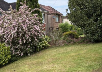 the garden groomers & rubbish removers facebook gallery 109