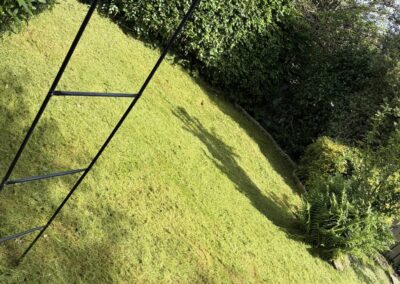 the garden groomers & rubbish removers facebook gallery 24